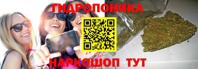 дживик Моздок