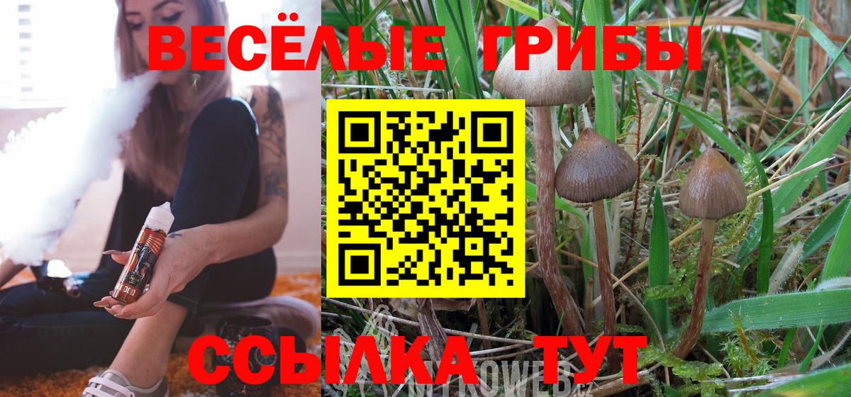 Псилоцибиновые грибы GOLDEN TEACHER  Псилоцибиновые грибы GOLDEN TEACHER  Вход с VPN  Великий Устюг 