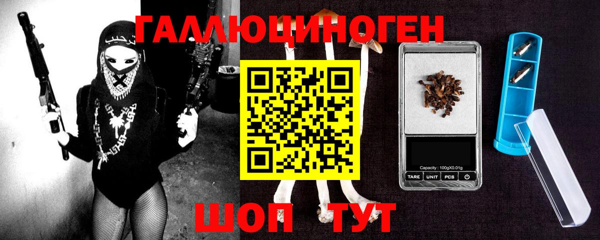 Галлюциногенные грибы прущие грибы Великий Устюг